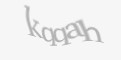 Защитный код
